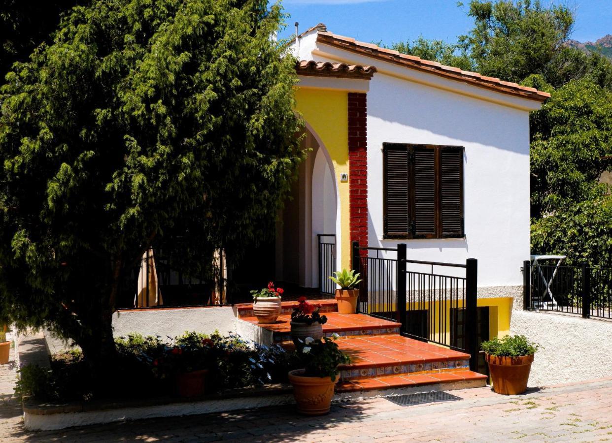 Assunta * Tertenia